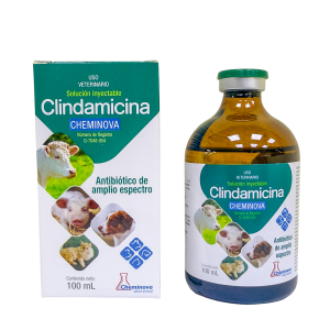 Clindamicina Cheminova